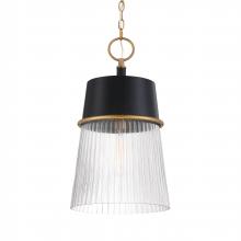 Minka-Lavery 193-876 - 1 LIGHT PENDANT