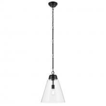 Kichler 52662BKCLR - Pendant Large 1Lt