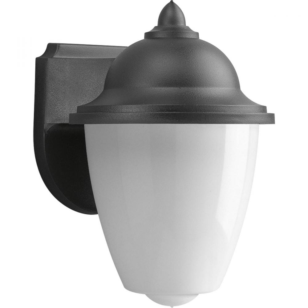 Non-Metallic Incandescent One-Light Outdoor Wall Lantern