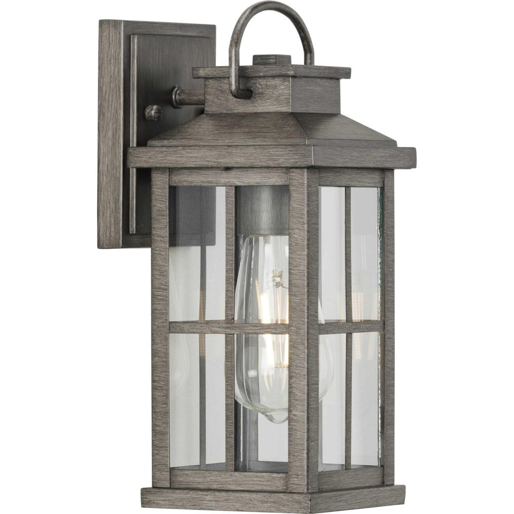 Williamston Collection One-Light Antique Pewter and Clear Glass Transitional Style Small Outdoor Wal