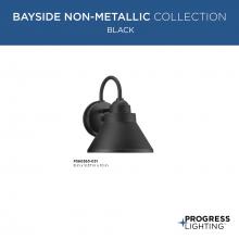 PROG_BaysideNon-Metallic-Black_GeneralLit.jpg