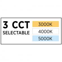 PROG_CCT-Graphic_3CCT-3000K-4000K-5000K_CCT.jpg
