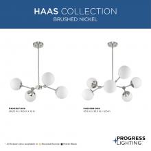 PROG_HAAS_COLLECTION_BRUSHED_NICKEL_GeneralLit.jpg