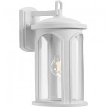 Progress P560088-028 - Gables Collection One-Light Coastal Satin White Clear Glass Outdoor Wall Lantern
