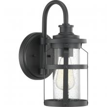 Progress P560094-031 - Haslett Collection One-Light Small Wall Lantern
