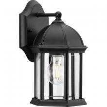 Progress P560321-031 - Dillard Collection One-Light Traditional Textured Black Clear Glass Outdoor Wall Lantern