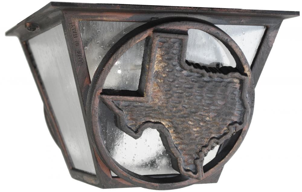 Americana Collection Lone Star Series Ceiling Mount Model TS53 Small Outdoor Wall Lan