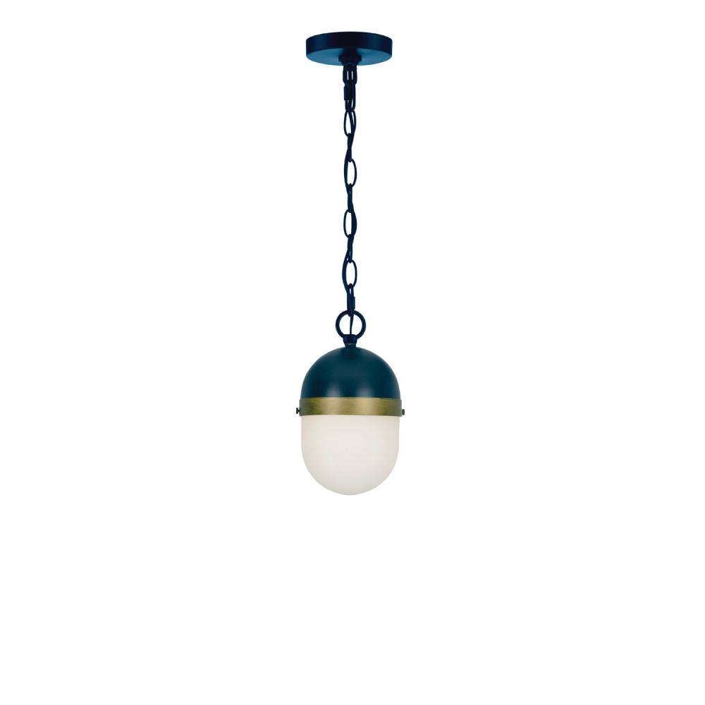 Brian Patrick Flynn for Crystorama Capsule 1 Light Matte Black + Textured Gold Outdoor Pendant