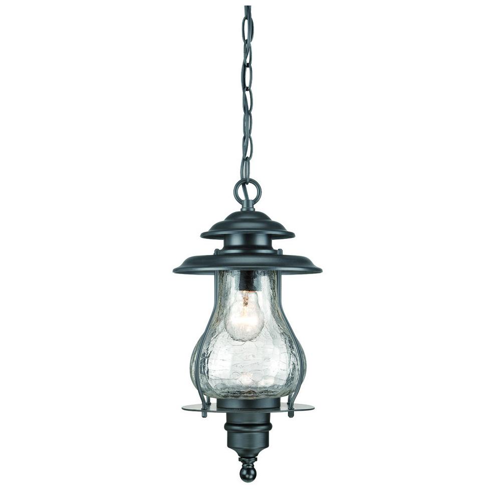Blue Ridge Collection Hanging Lantern 1-Light Outdoor Matte Black Light Fixture