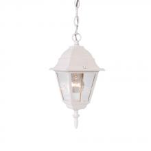 Acclaim Lighting 4006TW - Builder's Choice Collection Hanging-Mount 1-Light Outdoor Textured White Lantern