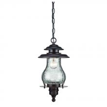 Acclaim Lighting 8206ABZ - Blue Ridge Collection Hanging Lantern 1-Light Outdoor Architectural Bronze Light Fixture