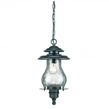 Acclaim Lighting 8206BK - Blue Ridge Collection Hanging Lantern 1-Light Outdoor Matte Black Light Fixture
