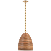 Visual Comfort & Co. Signature Collection SK 5381HAB-NRT - Emerson 14" Pendant