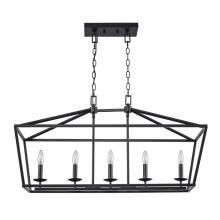 Trans Globe 10263 BK - Lacey 12" Pendant Style Cage Chandelier