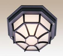 Trans Globe 40582 BK - Benkert 1-Light, Weblike Design, Enclosed Flush Mount Ceiling Lantern Light