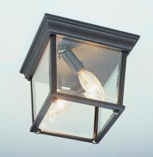 Trans Globe 4905 WH - Ansel Collection Square 2-Light Simple Outdoor Flush Mount Ceiling Lantern Light