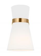 Visual Comfort & Co. Studio Collection 4190501-848 - Clark One Light Wall / Bath Sconce