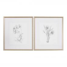 Uttermost 33649 - Uttermost Botanical Sketches Framed Prints S/2