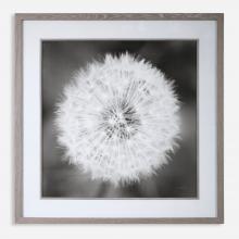 Uttermost 33711 - Uttermost Dandelion Seedhead Framed Print