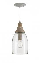 Currey 9716 - Anywhere Glass Pendant
